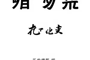 「私信录屏来源」核查档案封面，录屏进度条截帧清晰可见
