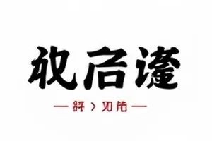 「品牌客服截图」核查档案封面，客服对话窗口界面示意